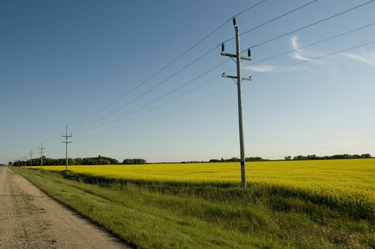 Manitoba, Canada; Power Lines