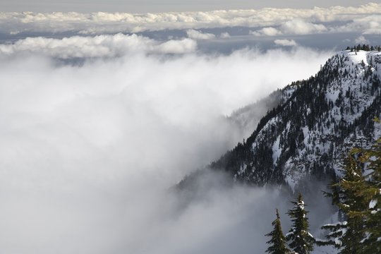 Fog, Mount Washington, Vancouver Island, British Columbia