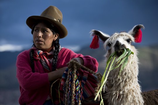 Woman in traditional clothing with llama in Cuzco, Peru