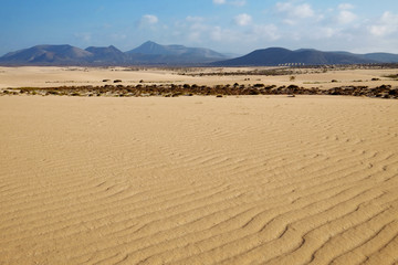 National park Corralejo on Fuerteventura, Spain.
