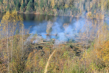 пожар в лесу