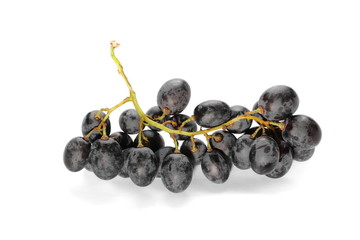 Dark grapes, isolated on white background