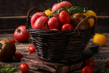 Fototapeta na wymiar Colorful tomatoes, red tomatoes, yellow tomatoes, orange tomatoes, green tomatoes. Tomatoes background. vintage wooden background