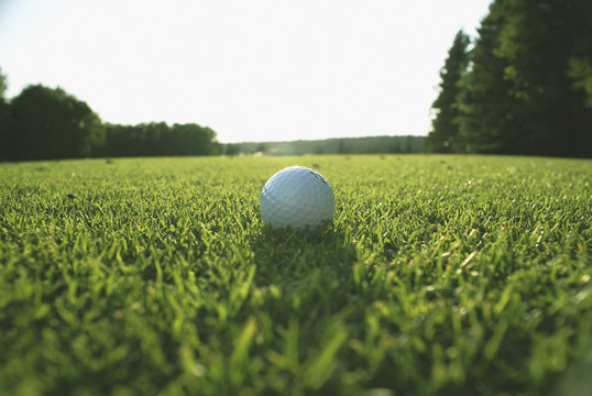 Golf Ball On Organic Golf Course; Canada, Manitoba, Riding Mountain National Park