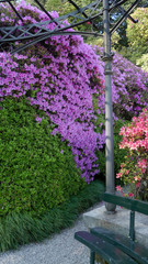 Villa Carlotta at Tremezzo on the Lake Como