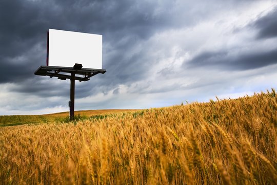 Blank Sign In A Field Of Wheat; Wilmar, Minnesota, United States Of America
