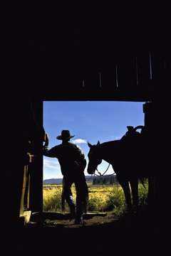 Silhouette Of A Cowboy Holding His Horse's Reins And Looks Out Of The Barn As He Contemplates The Day; Seneca, Oregon, United States Of America