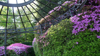 Villa Carlotta at Tremezzo on the Lake Como