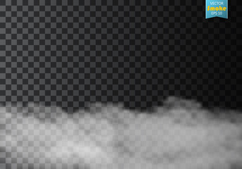 Fog or smoke isolated transparent special effect. White vector cloudiness, mist or smog background. Vector illustration