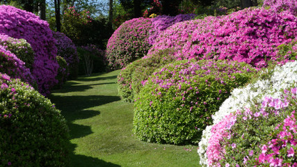 Villa Carlotta at Tremezzo on the Lake Como