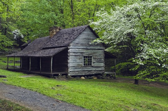 Tennessee, United States Of America; Noah Bud Ogle Pioneer Cabin And Trees In The Great Smokey Mountains National Park