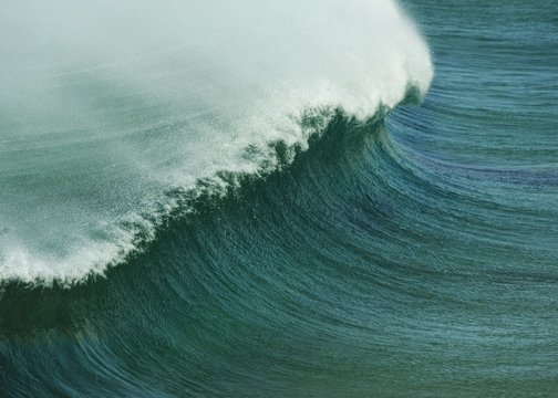 Wave in the ocean