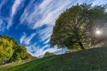 Autumnal trees and dramatic blue polarised sky, Namur, Belgium