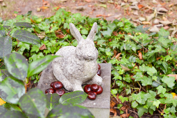 Hase mit Kastanien © Blende8