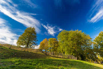 Autumnal trees and dramatic blue polarised sky, Namur, Belgium