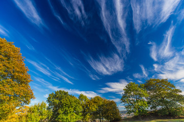 Autumnal trees and dramatic blue polarised sky, Namur, Belgium