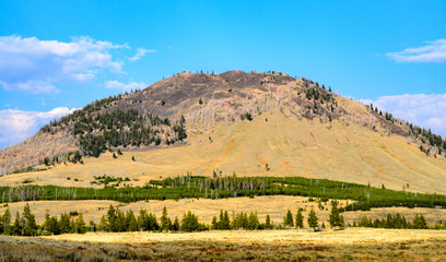 Obraz premium Yellowstone National Park