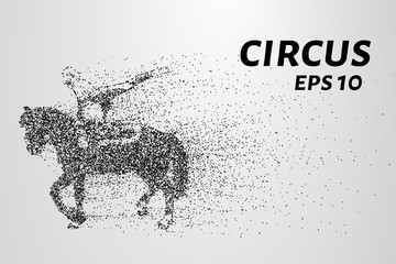 Circus of the particles. Girl on horse falls apart into a molecule. Girl performs tricks on horseback. Vector illustration