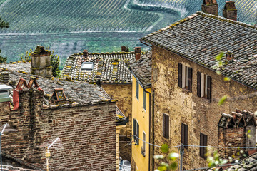 Fototapeta na wymiar brown roofs in Tuscany