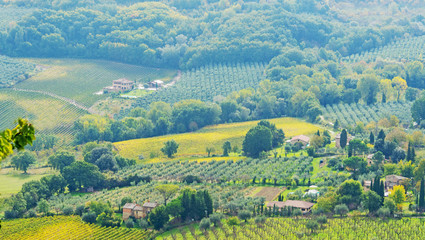 Fototapeta na wymiar Tuscany countryside on a sunny day