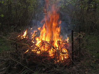Fire