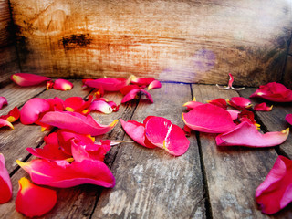 Rose petals. Autumn leaves. Autumn composition. On a wooden texture. There is a place for text