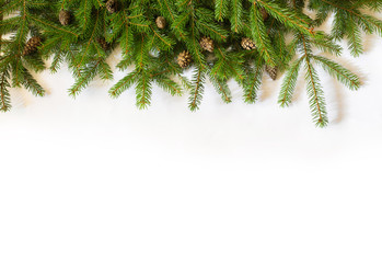 Christmas tree on white background