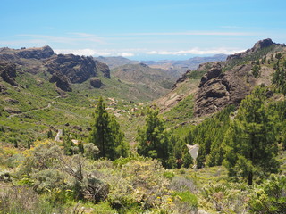 Fototapeta na wymiar Mountain view in Gran Canaria Spain