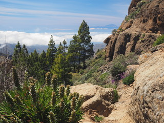 Fototapeta na wymiar Tenerife seen from high mountain next to Roque Nublo Gran Canaria