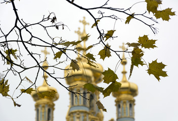 Yellow maple leaves, the Golden domes of the temple, Orthodox Ch