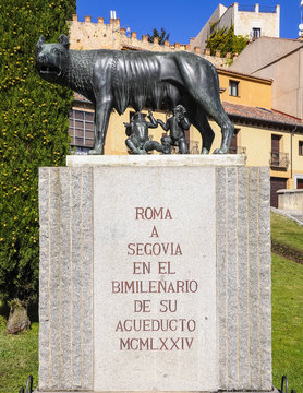 Loba capitolina en Segovia, Espa&ntilde;a