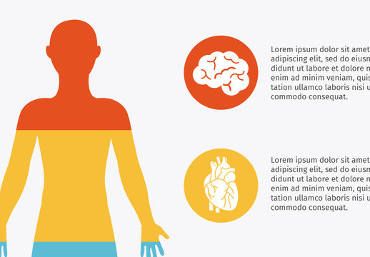 Orange Yellow Blue And Black Human Anatomy Infographic Template