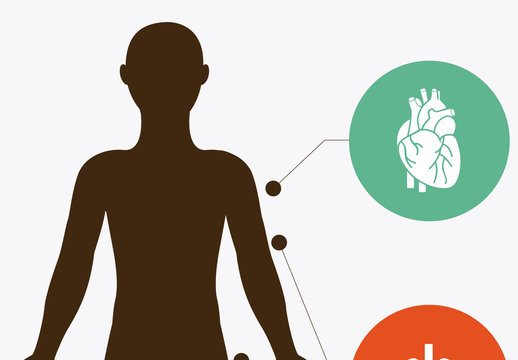 Human Body Infographic and Anatomical Icon Set 1