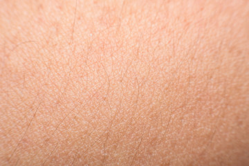 Fototapeta premium skin texture