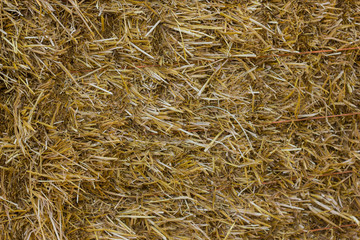 Close up of ground. Texture straw or hay