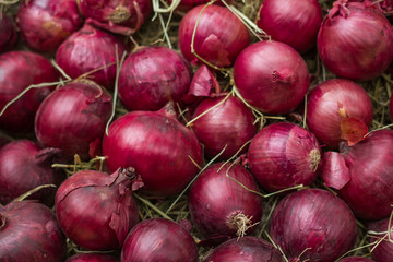 Red onion on hay. Background and texture