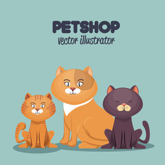 pet shop cats and dog care mascot vector illustration eps 10
