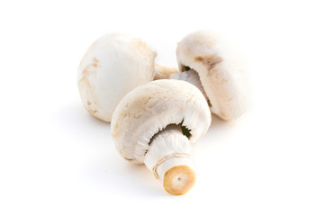 Champignons