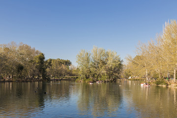 lake in a park for recreation