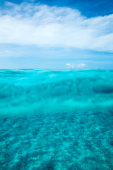 Fototapeta premium Tranquil underwater scene with copy space
