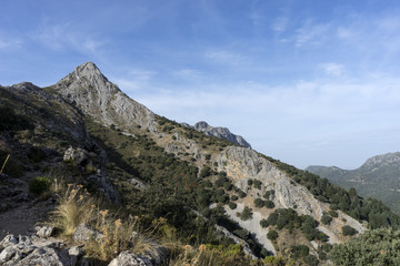 paraje natural de la sierra de Grazalema en la provincia de Cádiz, Andalucía, pico de San...