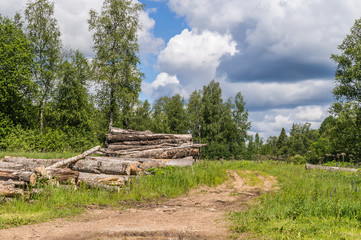 rural summer landscape with firewood  log.