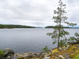 Fototapeta na wymiar Ladoga lake landscape