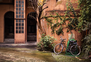 Fototapeta na wymiar Bicycle under the wall