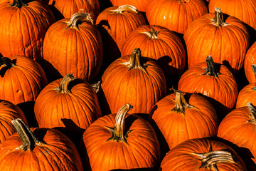 Pumpkins