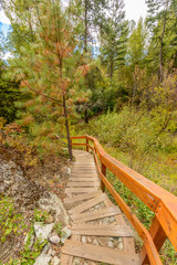 A stairs on the trail at Glen Canyon Park, British Columbia, Canada.