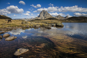 Midi D'Ossau XIV