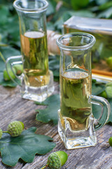Liqueur made from oak tree bark and alcohol