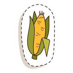 Corn cobs vector illustration.