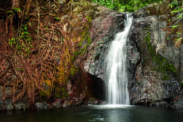 Obraz premium Tropical rain forest landscape with jungle plants and flowing water of small waterfall. Vang Vieng, Laos